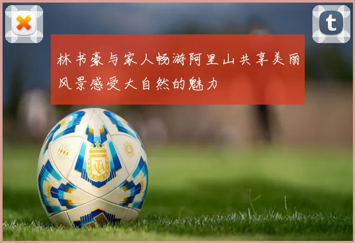 林书豪与家人畅游阿里山共享美丽风景感受大自然的魅力