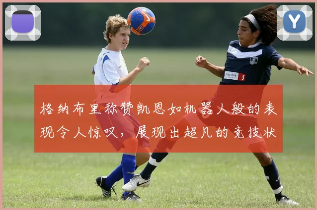 格纳布里称赞凯恩如机器人般的表现令人惊叹，展现出超凡的竞技状态