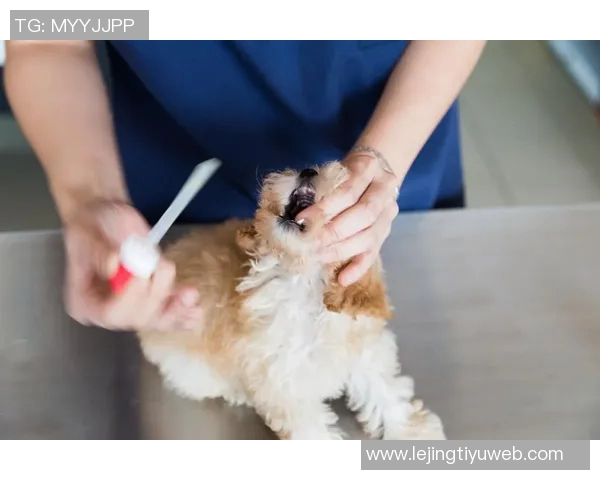 尼科威廉姆斯谈耻骨炎恢复过程并表示需带伤出战的挑战与决心